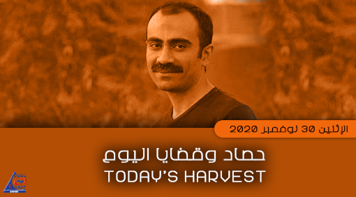 Today’s Harvest Monday, 30 November 2020