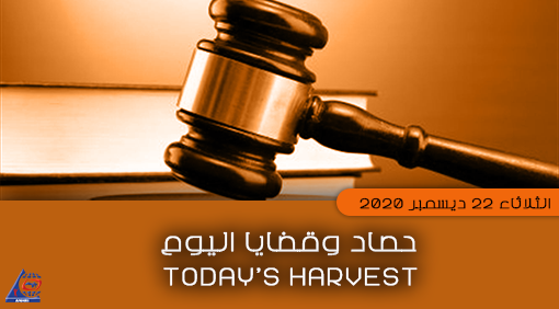 Today’s Harvest 22 December 2020