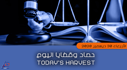 Today’s Harvest  Wednesday, 30 December 2020