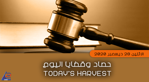 Today’s Harvest Monday, 28 December 2020