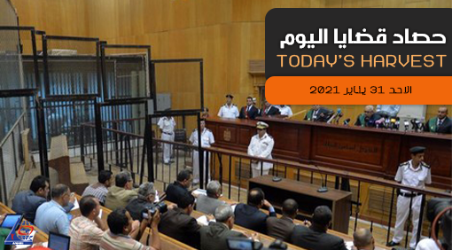 حصاد اليوم   الأحد 31 يناير 2021