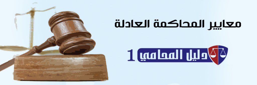 دليل المحامي (1) معايير المحاكمة العادلة