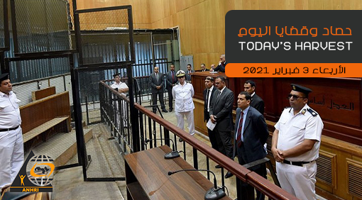 حصاد اليوم  الأربعاء 3 فبراير 2021
